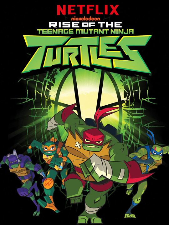 Rise Of The Teenage Mutant Ninja Turtles : Afiş