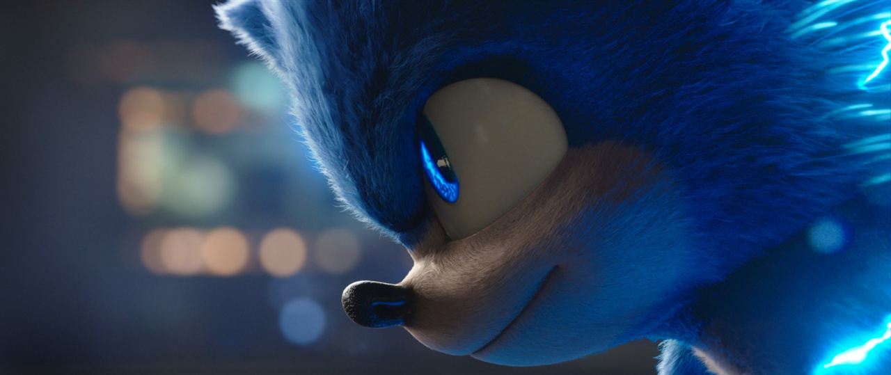 Kirpi Sonic : Fotoğraf