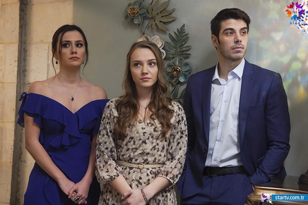 Güvercin : Fotoğraf