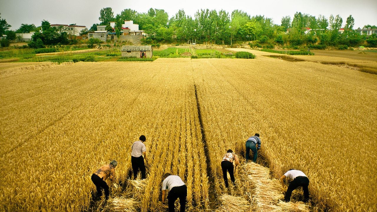 Yi Ge Cun Zhuang De Wen Xue : Fotoğraf