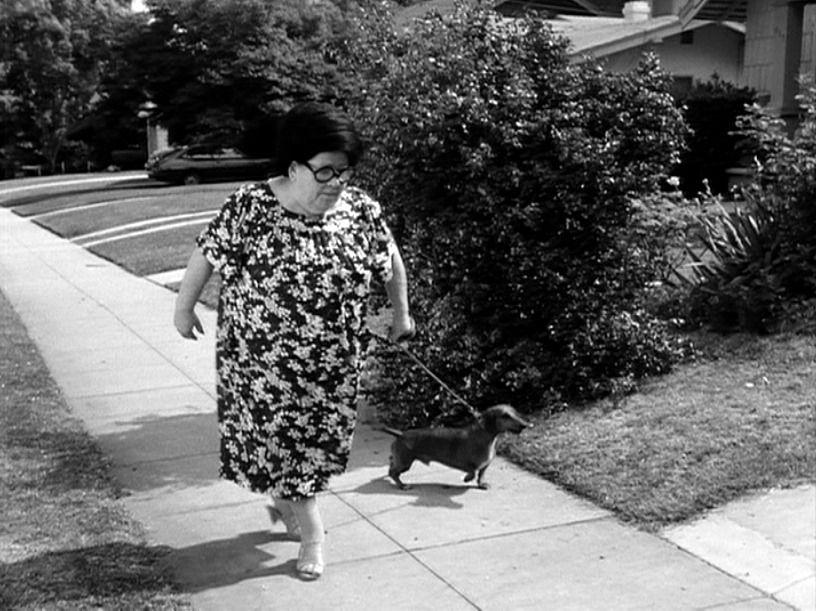 Frankenweenie : Fotoğraf