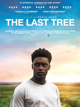 The Last Tree : Afiş