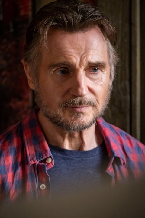 Made In Italy : Fotoğraf Liam Neeson