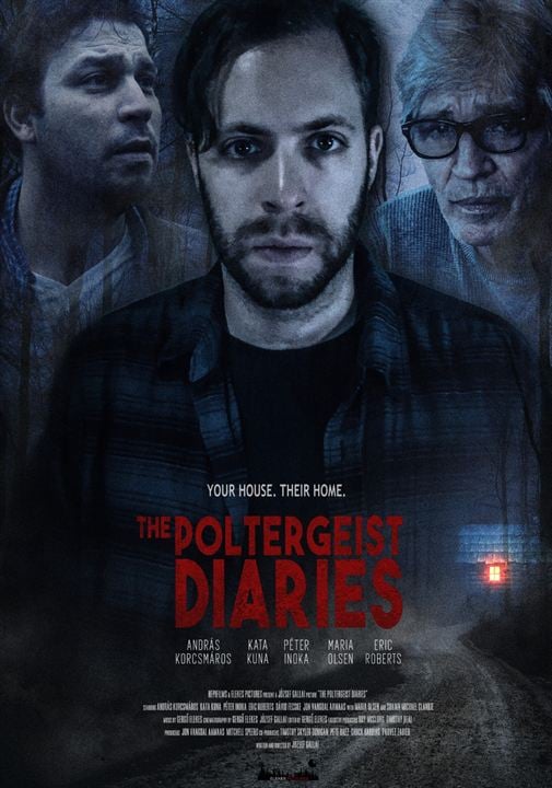 The Poltergeist Diaries : Afiş