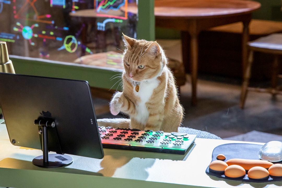 Cats & Dogs 3: Paws Unite : Fotoğraf