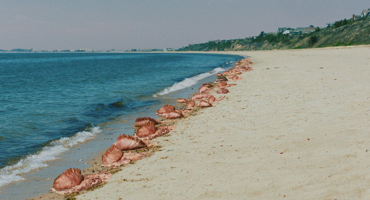 The Beach House : Fotoğraf
