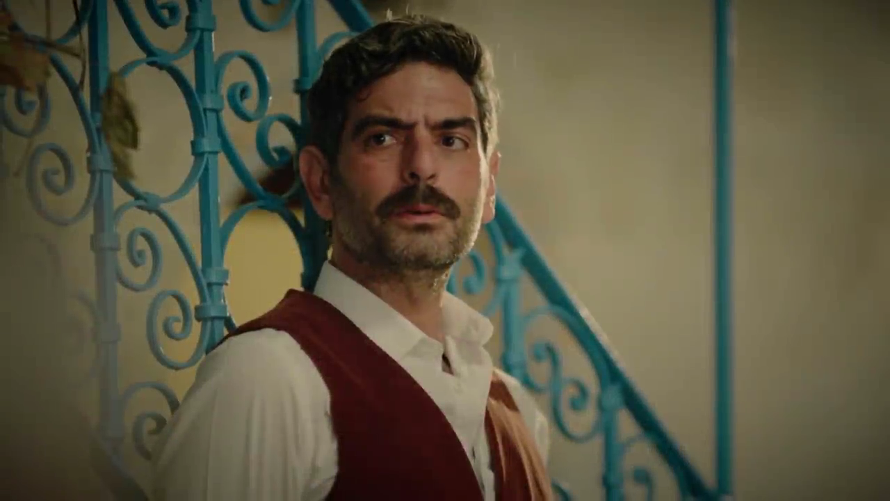 Güvercin : Fotoğraf