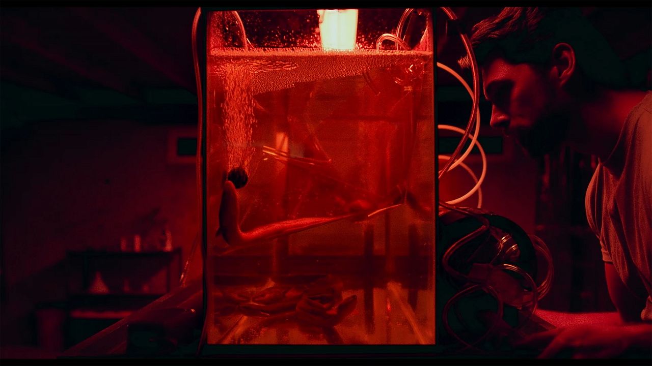 What Lies Below : Fotoğraf Trey Tucker