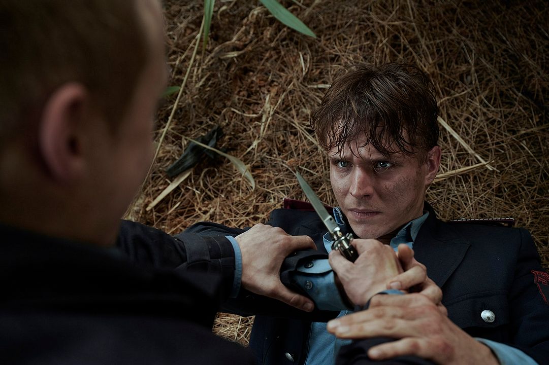 Fotoğraf Merlin Rose