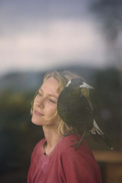 Penguen Bloom : Fotoğraf Naomi Watts