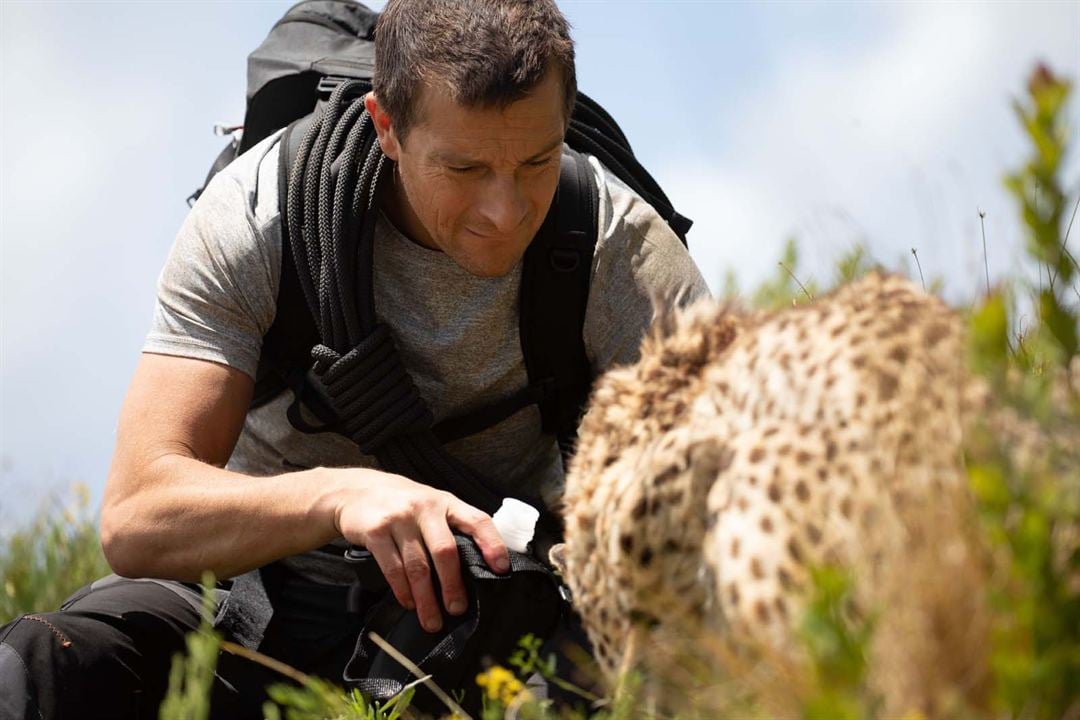 Doğaya Karşı Mücadele: Safari Macerası İnteraktif Filmi : Fotoğraf Bear Grylls