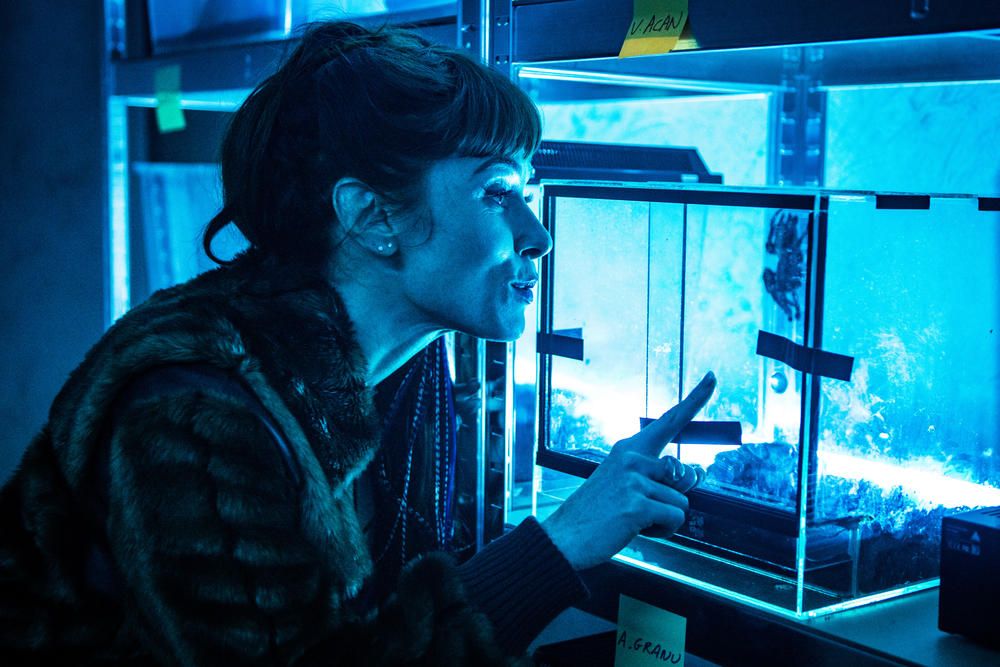 Fotoğraf Audrey Fleurot