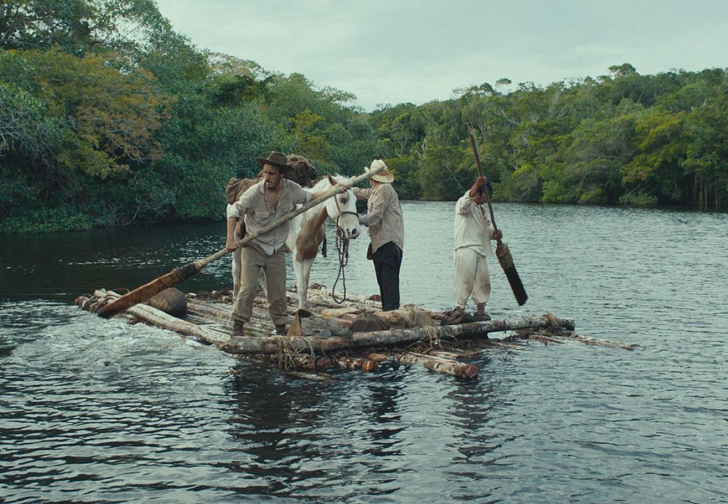 Trajik Orman : Fotoğraf