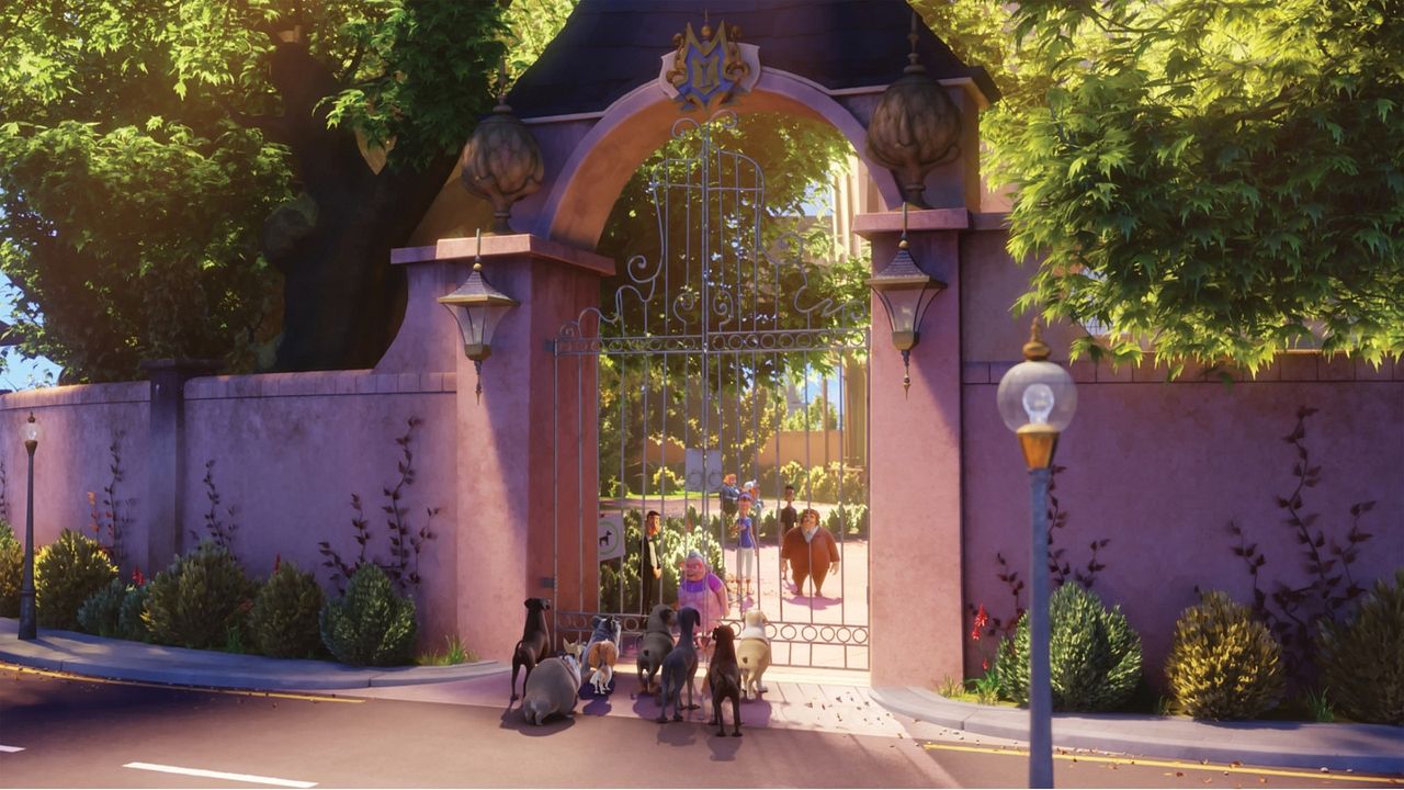 %100 Kurt : Fotoğraf