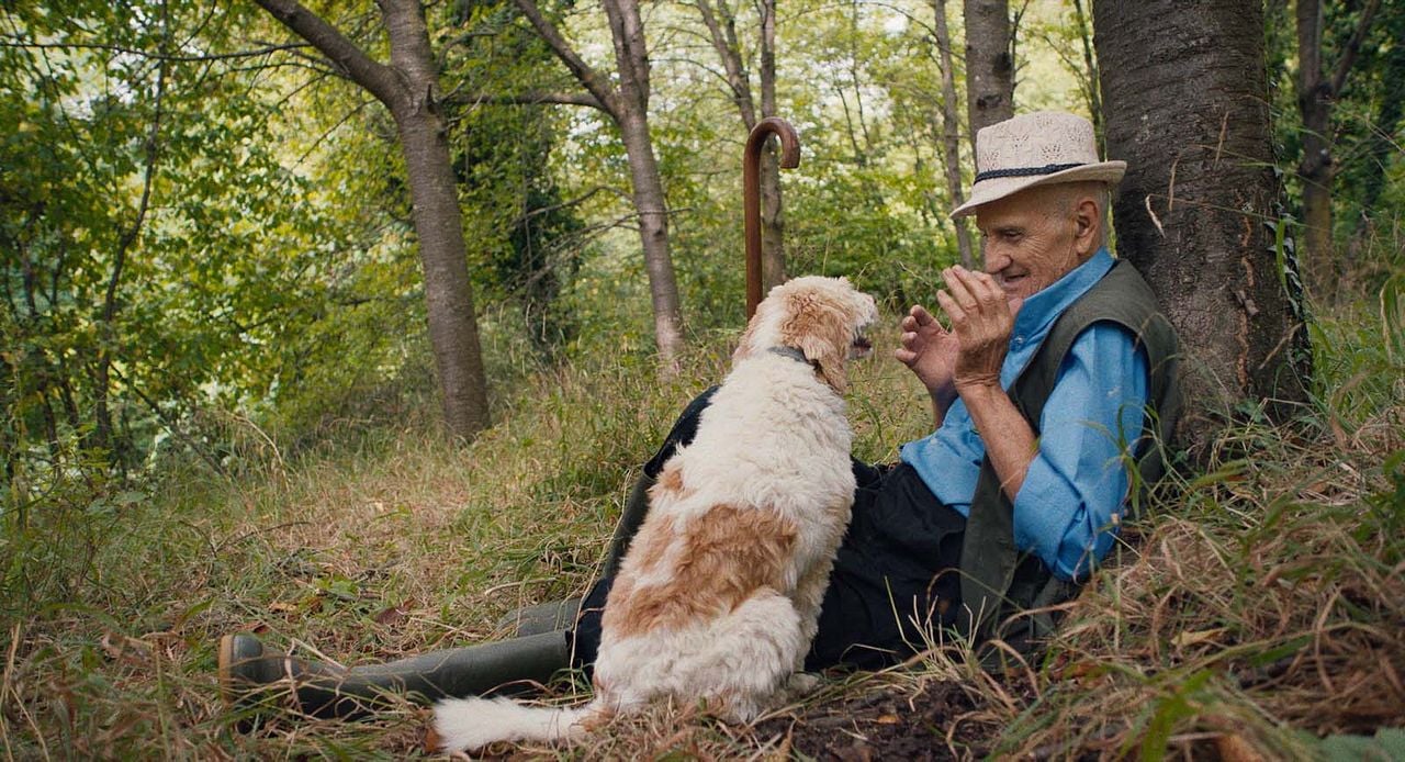 The Truffle Hunters : Fotoğraf