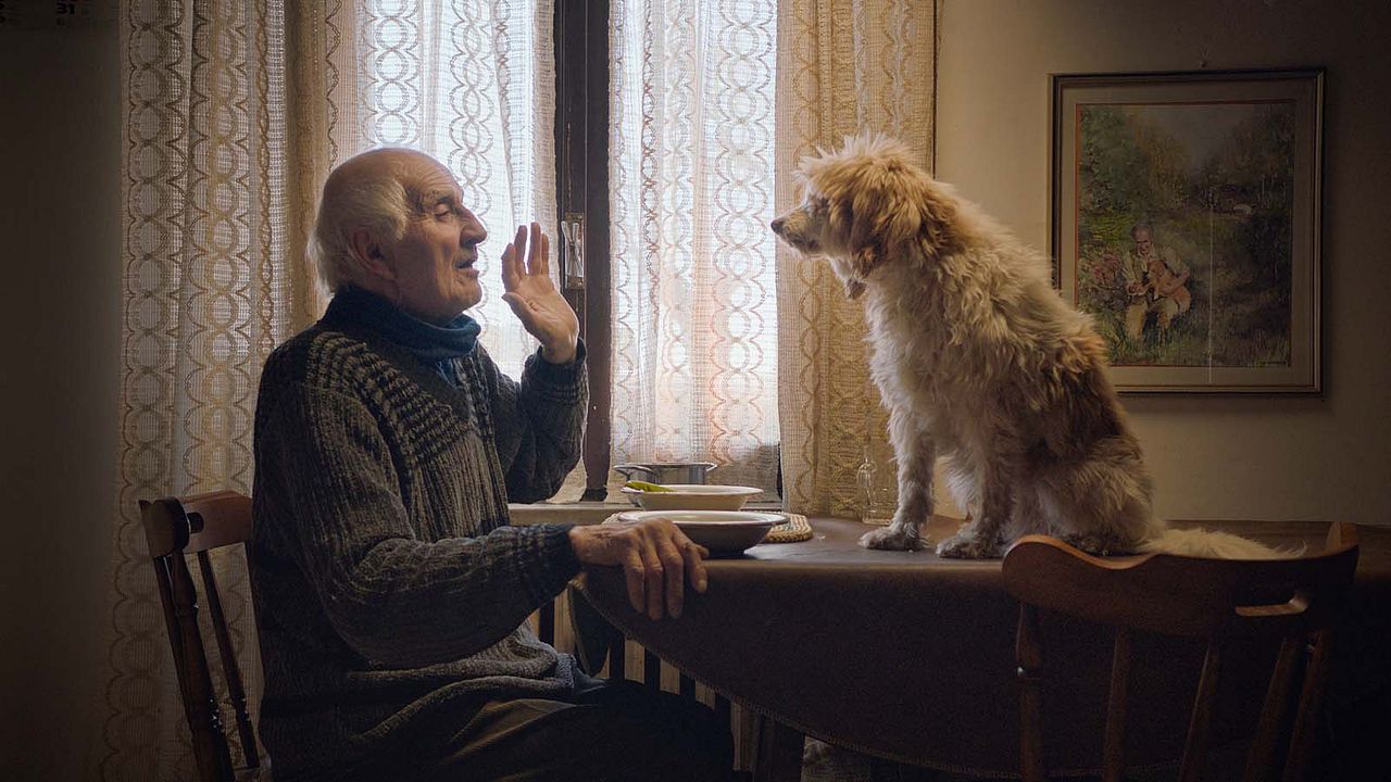 The Truffle Hunters : Fotoğraf