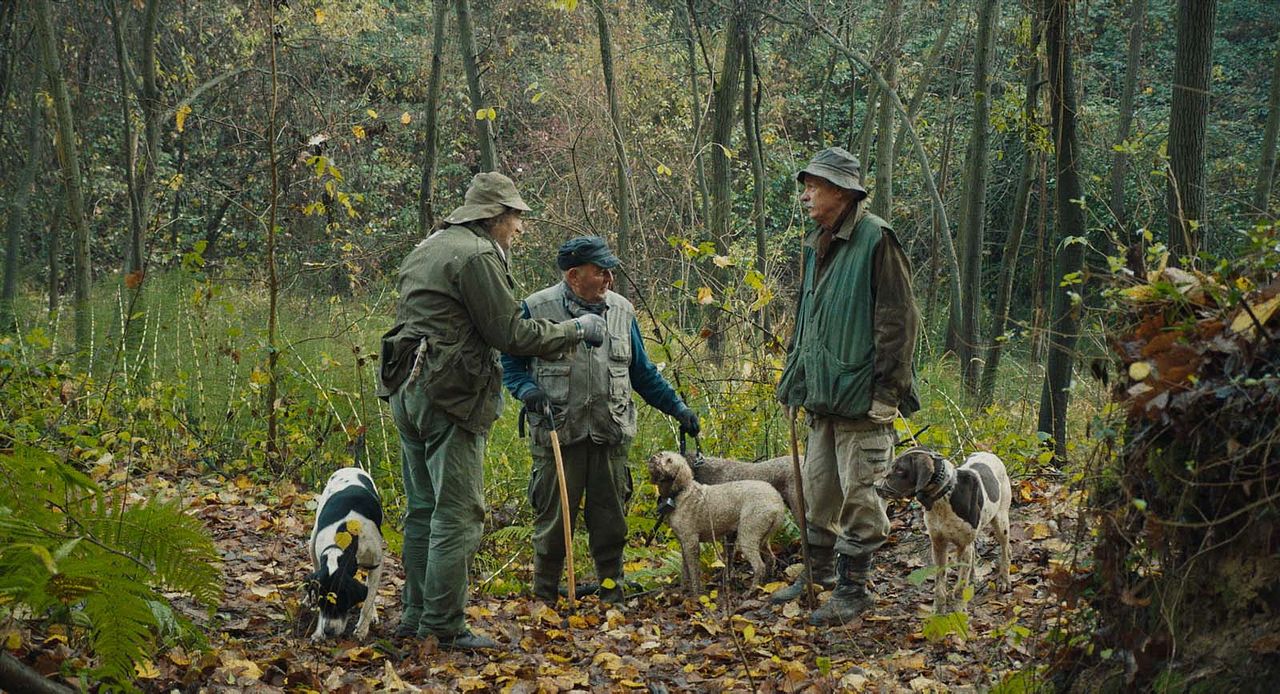 The Truffle Hunters : Fotoğraf