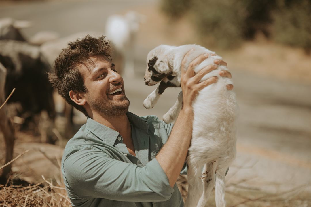 Aşk Oluversin Gari : Fotoğraf