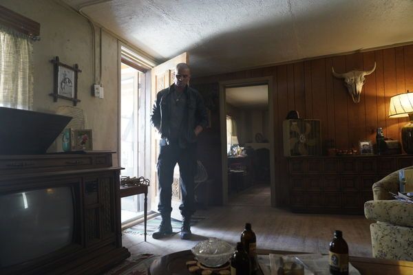 Koruyucu : Fotoğraf