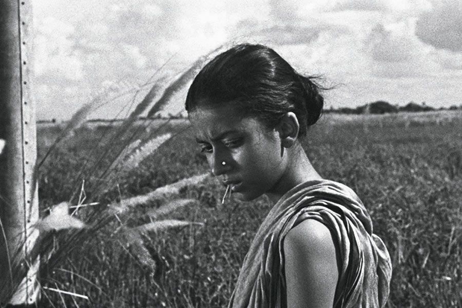 Pather Panchali : Fotoğraf