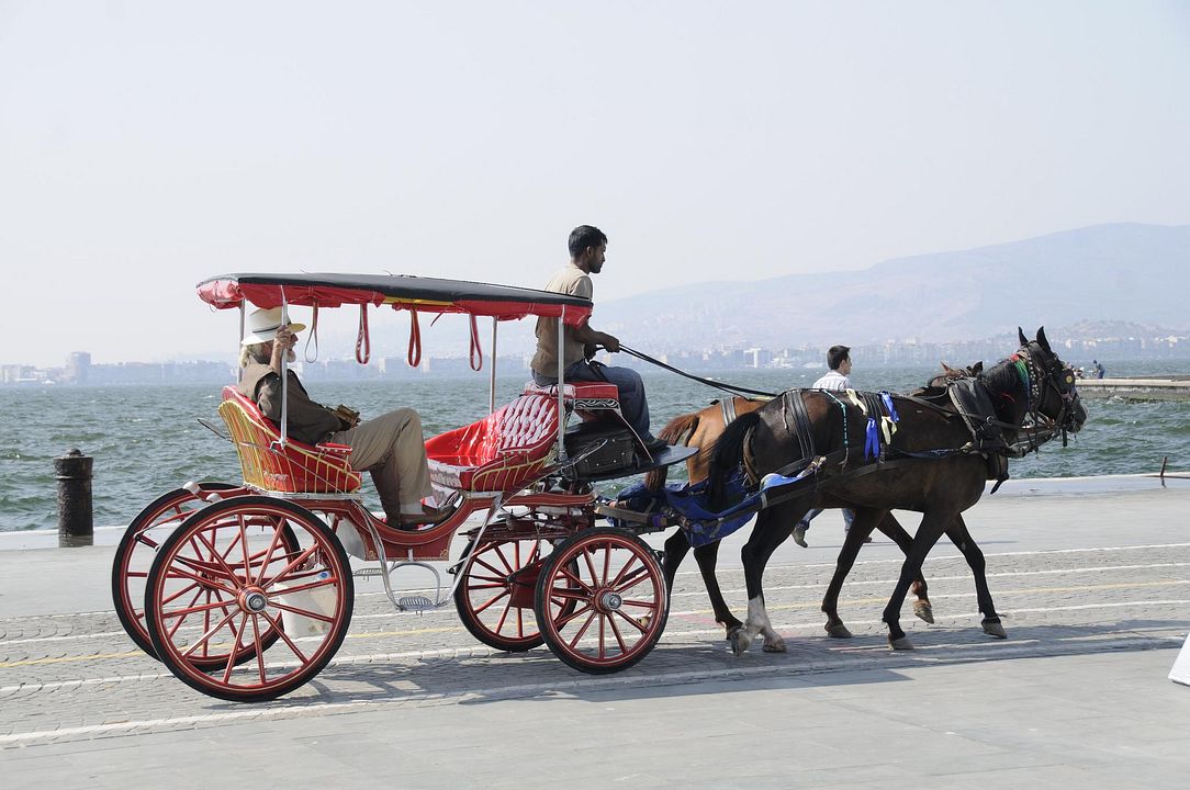 Bir Gevrek, Bir Boyoz, İki de Kumru : Fotoğraf