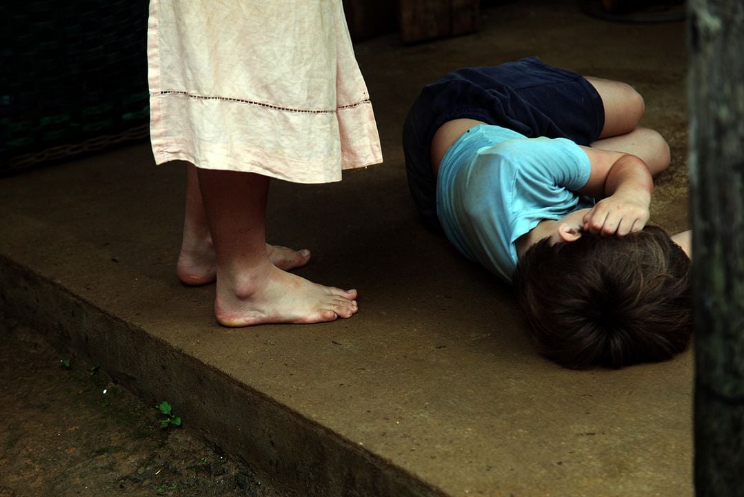 Şeker Portakalı : Fotoğraf