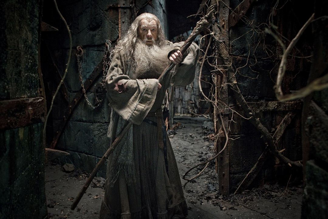 Hobbit: Smaug'un Çorak Toprakları : Fotoğraf Ian McKellen