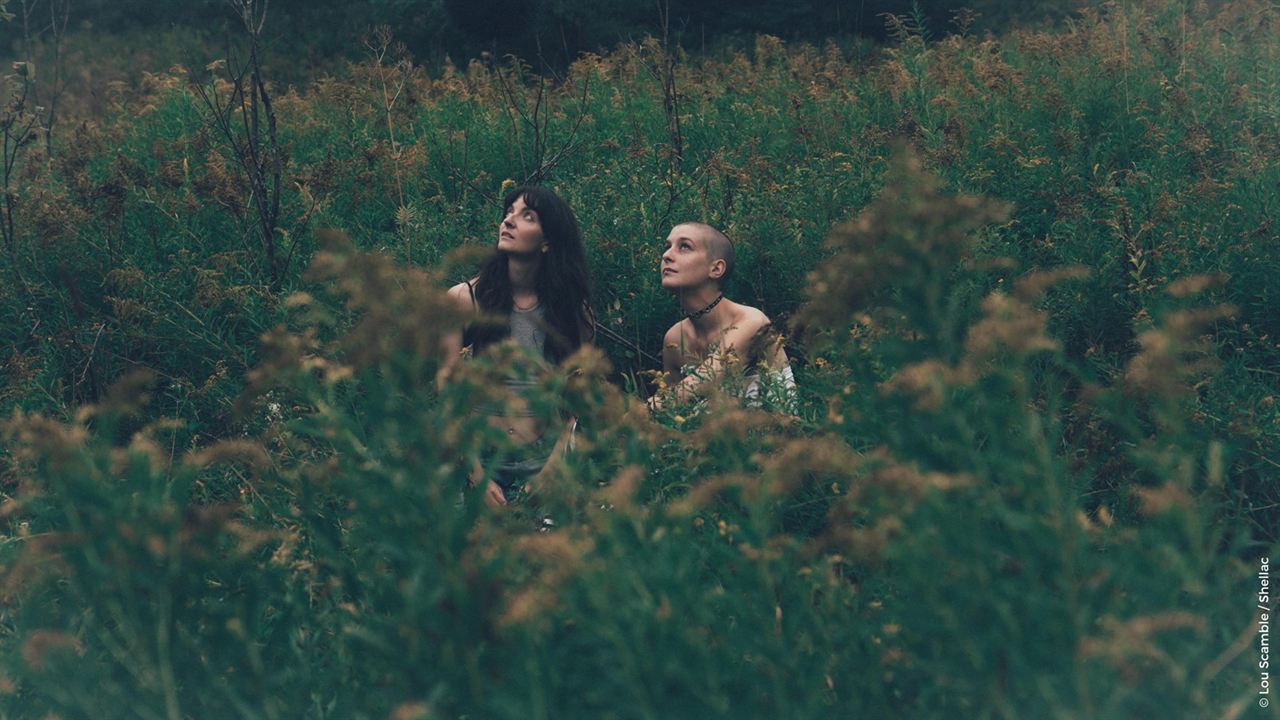 Un été comme ça : Fotoğraf Larissa Corriveau, Aude Mathieu