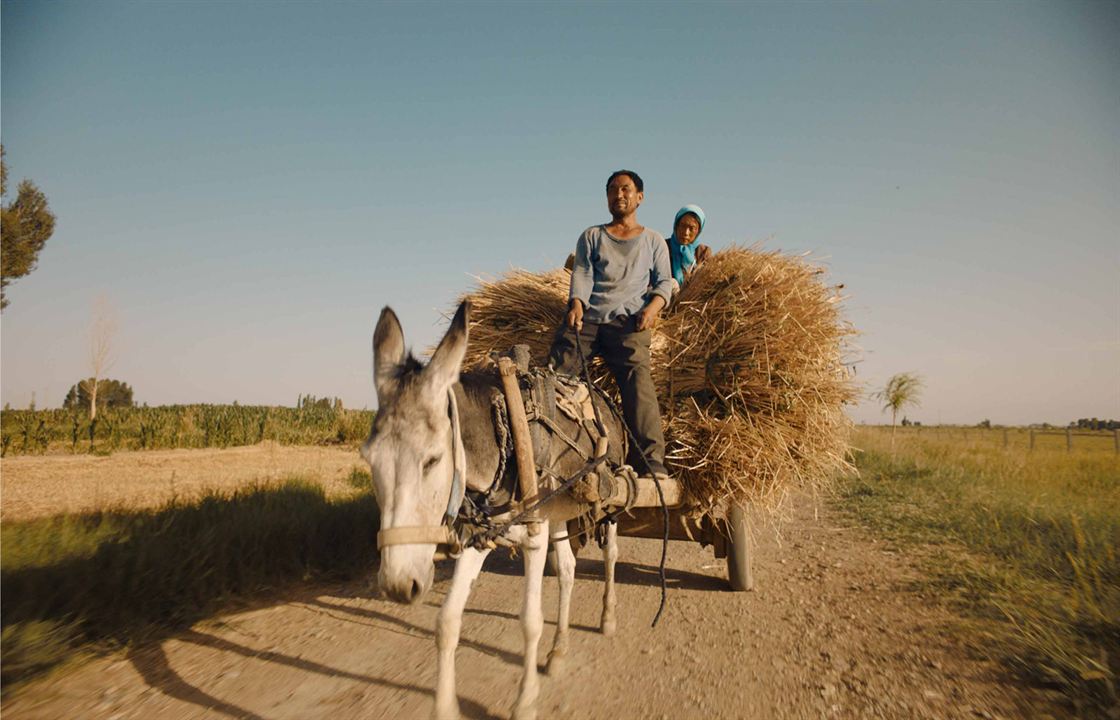 Yin Ru Chen Yan : Fotoğraf Hai-Qing, Wu Renlin