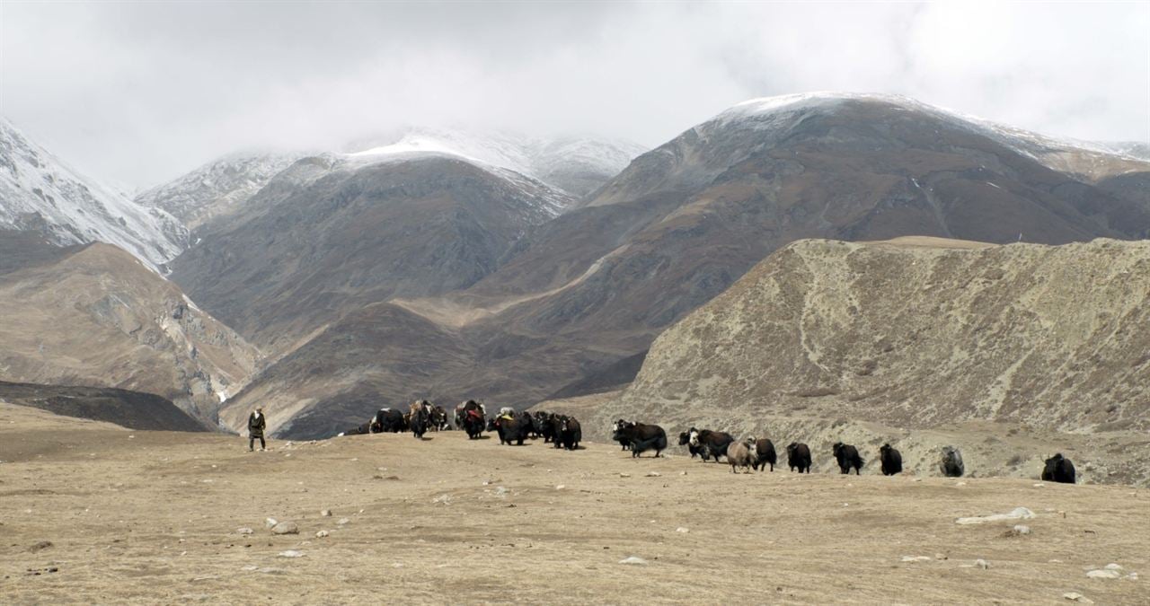 Ta'igara: An adventure in the Himalayas : Fotoğraf