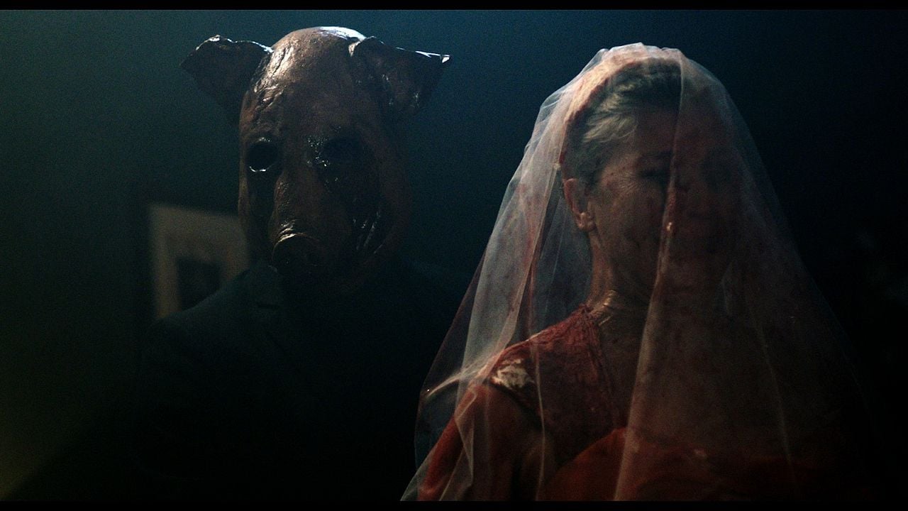 The Free Fall : Fotoğraf