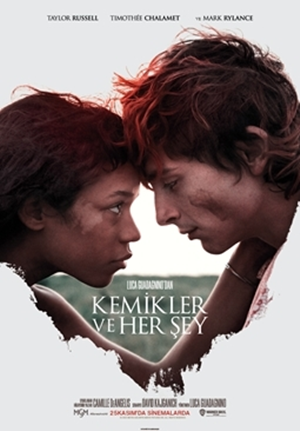 Kemikler ve Her Şey : Afiş