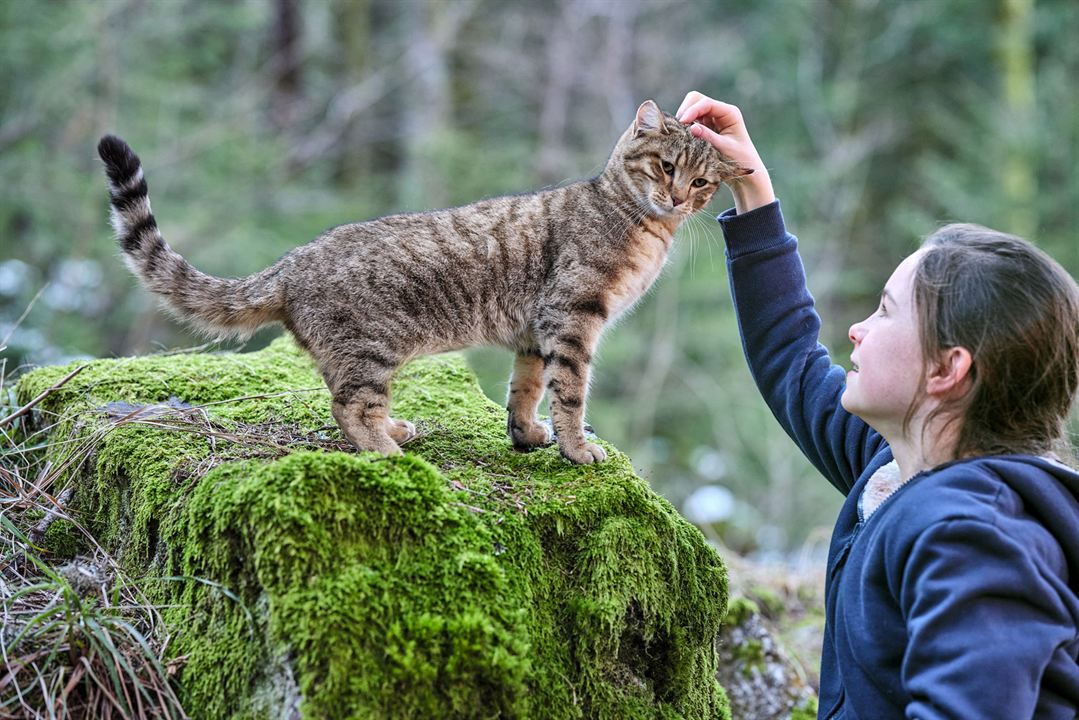 Mon chat et moi, la grande aventure de Rroû : Fotoğraf Capucine Sainson-Fabresse