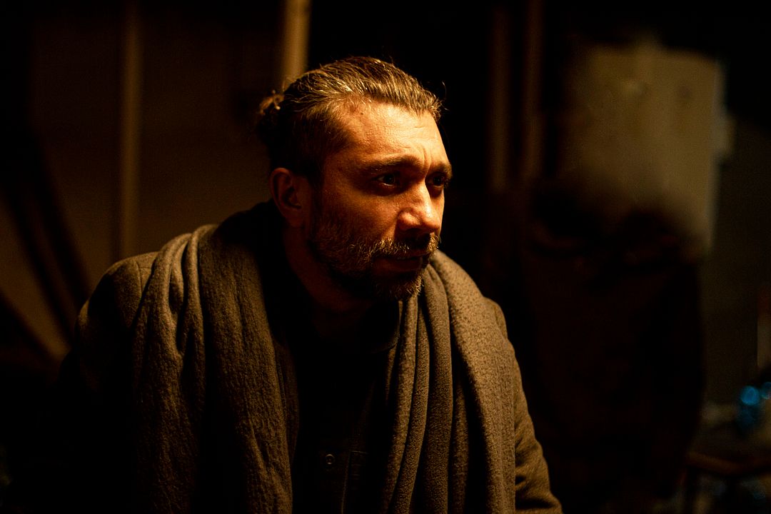 Sarmaşık Zamanı : Fotoğraf