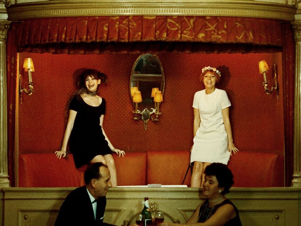 Papatyalar : Fotoğraf