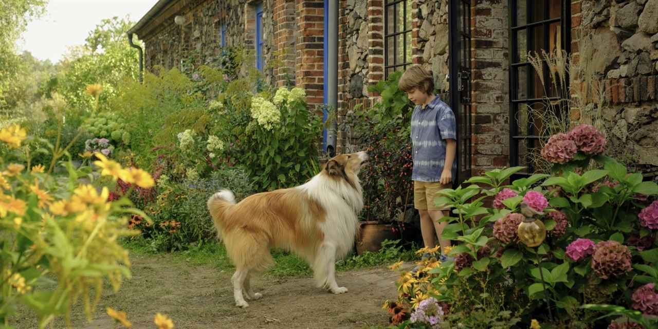 Lassie: Yepyeni Bir Macera : Fotoğraf Pelle Staacken