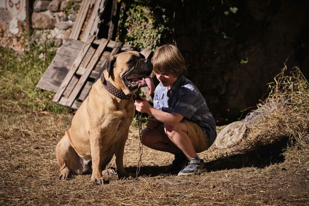 Lassie: Yepyeni Bir Macera : Fotoğraf Nico Marischka, Pelle Staacken