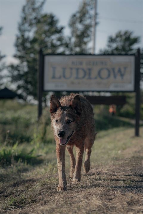 Pet Sematary: Bloodlines : Fotoğraf