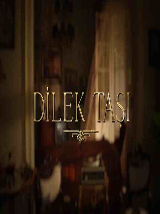 Dilek Taşı : Afiş