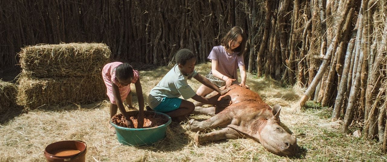 Thabo - Das Nashorn-Abenteuer : Fotoğraf Vutlhari Sibisi, Litlhohonolofatso Litlhakayane, Ava Skuratowski