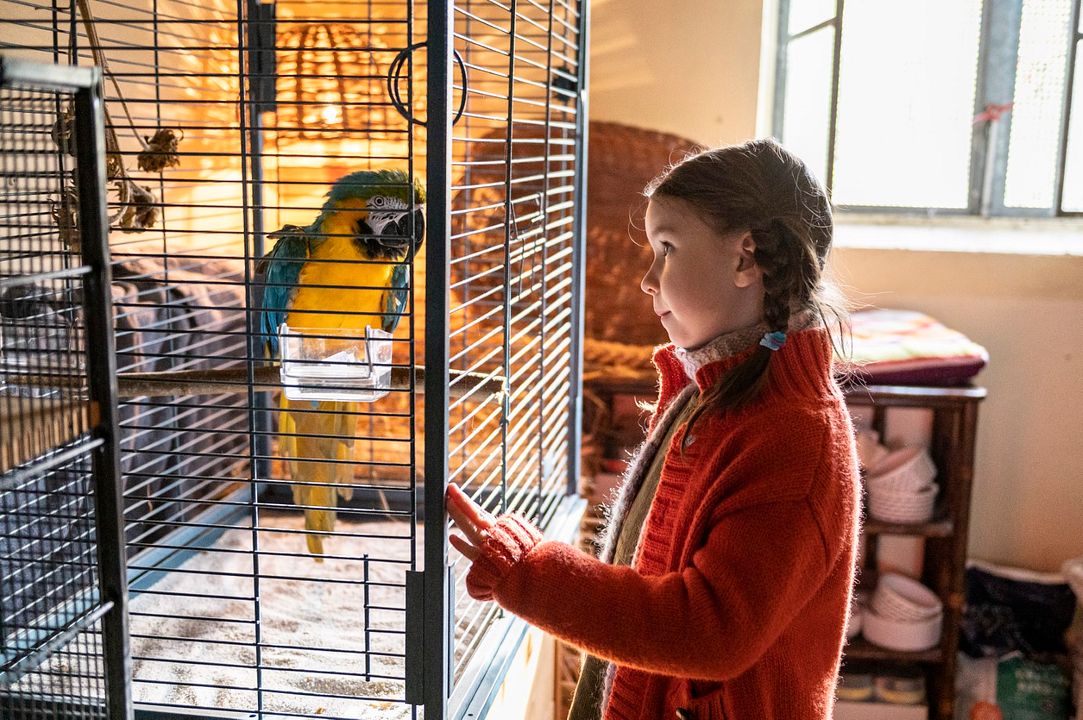 Fotoğraf Pola Friedrichs