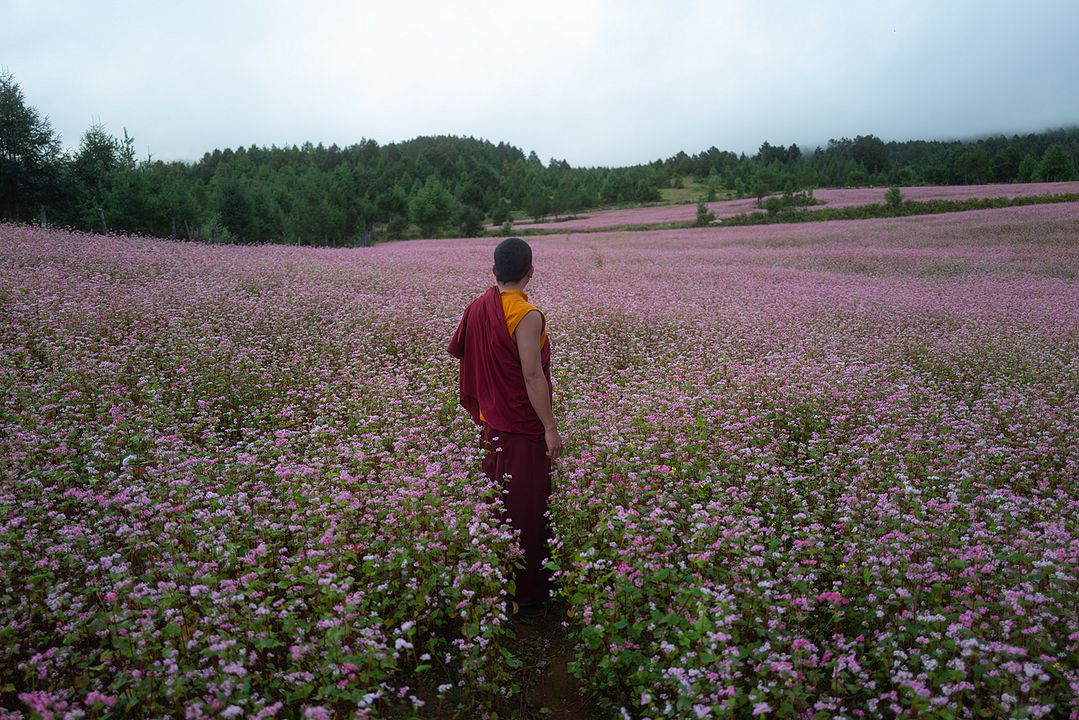 The Monk And The Gun : Fotoğraf