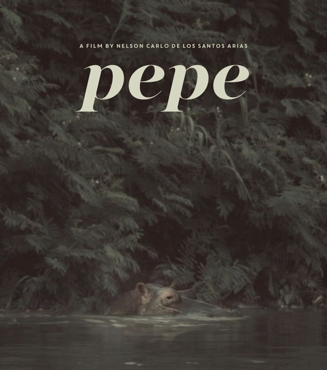 Pepe : Afiş