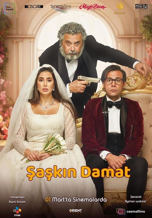 Şaşkın Damat : Afiş