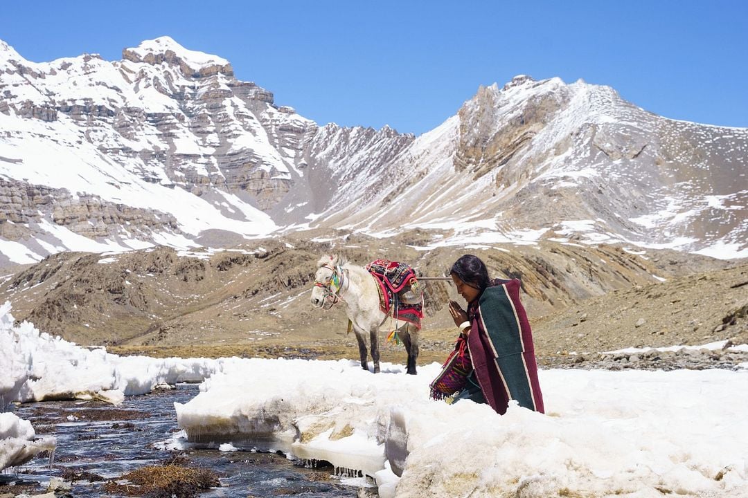 Shambhala : Fotoğraf