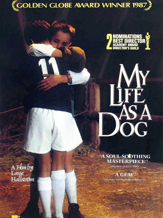 Bir Köpek Olarak Hayatım : Afiş