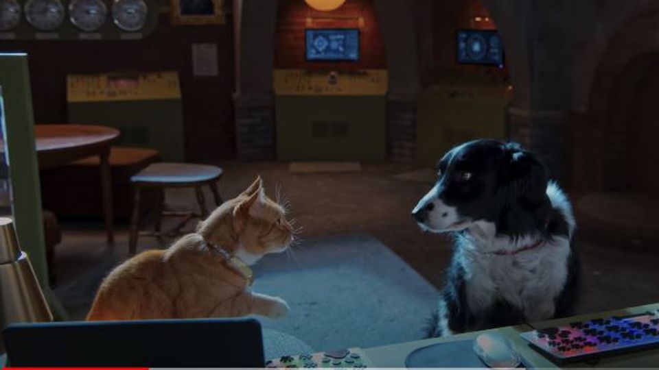 Cats & Dogs 3: Paws Unite (2) - Beyazperde.com